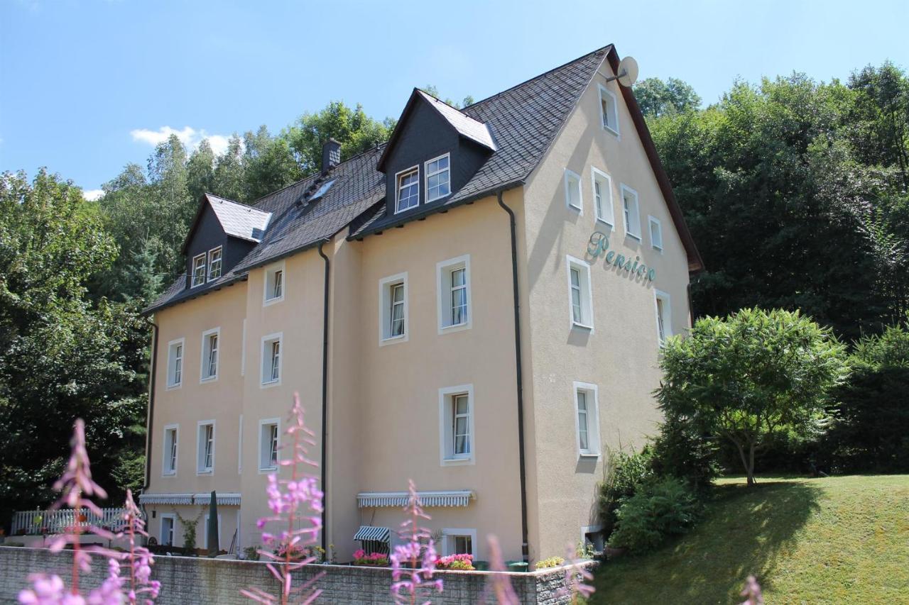 Appartements Im "Landhaus Am Frohnauer Hammer" Annaberg-Buchholz Exterior foto