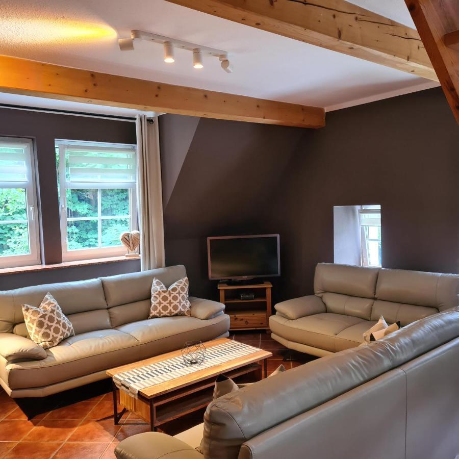 Appartements Im "Landhaus Am Frohnauer Hammer" Annaberg-Buchholz Exterior foto